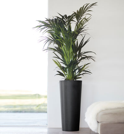 Ecopots Amsterdam høy sort H76 cm Ecopots Amsterdam høy sort H76 cm